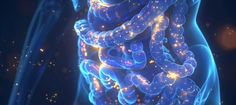Microbiota intestinal: su rol clave en la salud